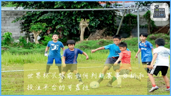 世界杯买球前如何判断赛事分析和投注平台的可靠性