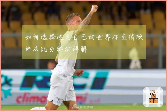如何选择适合自己的世界杯竞猜软件及比分玩法详解