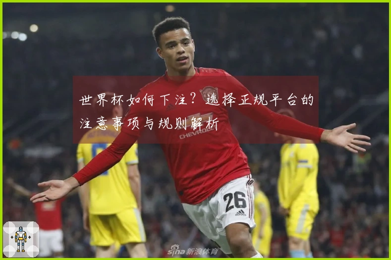 世界杯如何下注？选择正规平台的注意事项与规则解析
