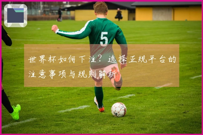 世界杯如何下注？选择正规平台的注意事项与规则解析