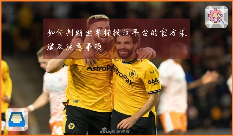 如何判断世界杯投注平台的官方渠道及注意事项